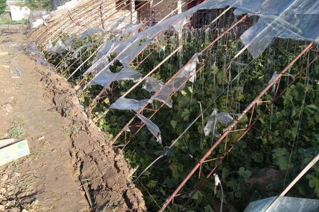 陕西米脂“4·27”砍杀中学生案被提起公诉