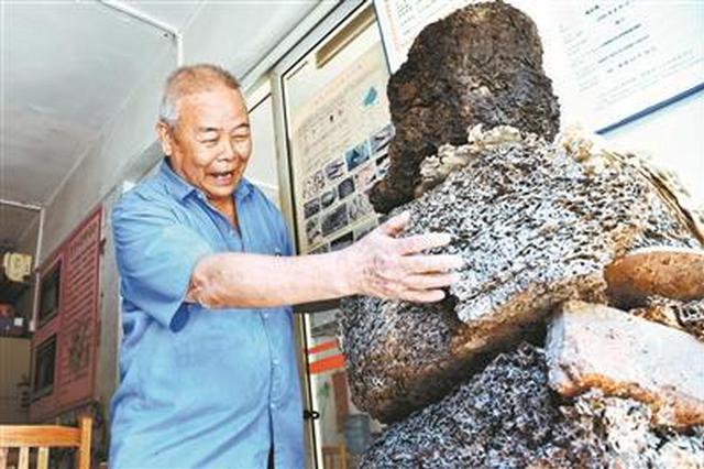 77岁“蚁人”治蚁60年 家中养10万只白蚁供研究