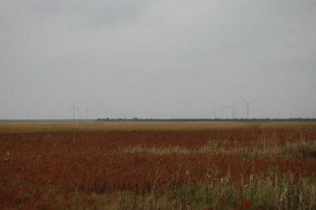 江苏严查沿海环境问题 坚决“不要污染的GDP”