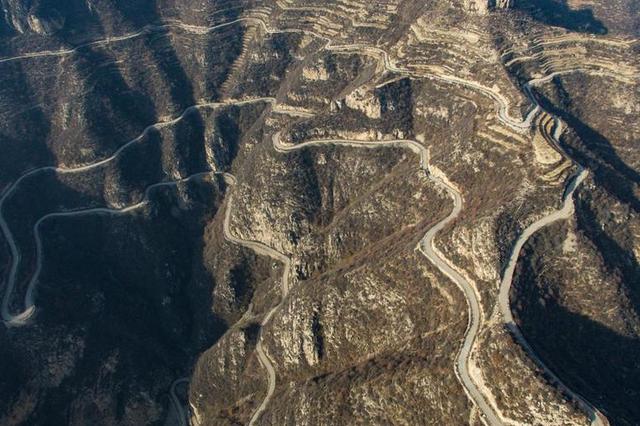 老人景区爬树摘杨梅坠亡 家属称树太好爬索赔60万