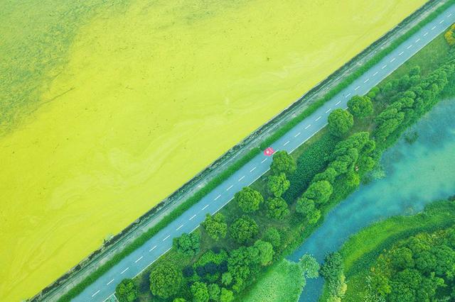 无锡蓝藻打捞量比去年同期减半 太湖水质优于20年前