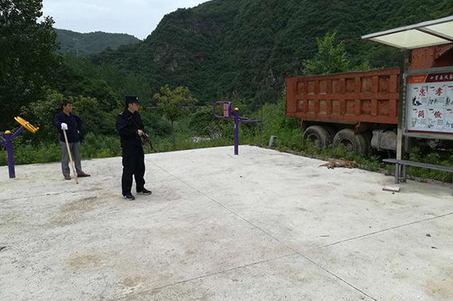 9条疯狗发狂连伤数人 民警搜寻8小时冲锋枪击毙