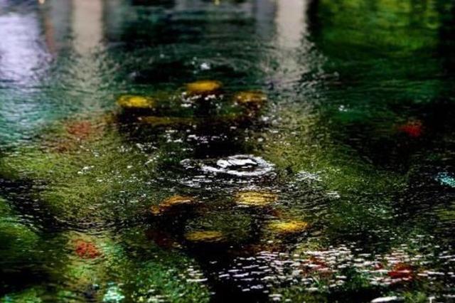 高考期间我省或有雷阵雨添乱 本周气温将逐渐上升