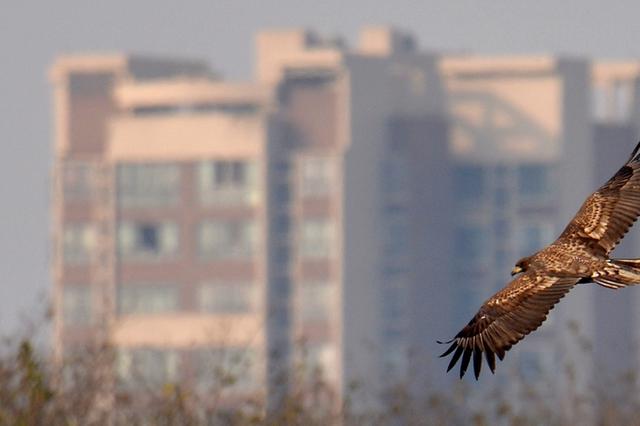 有黑幕？官方回应长沙12岁小孩与85岁老人购房摇号中签