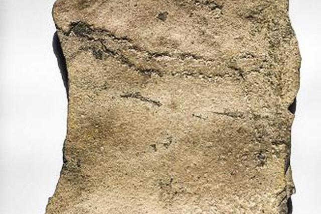 中国三峡地区发现地球最古老动物足迹