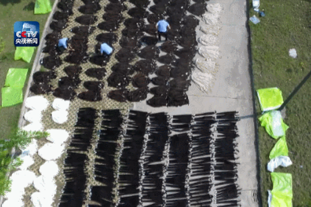 触目惊心！云南查获7384张貂皮 铺满整个院子