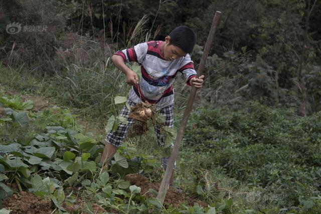 3个熊孩子考砸了 竟拿父母钱离家挥霍