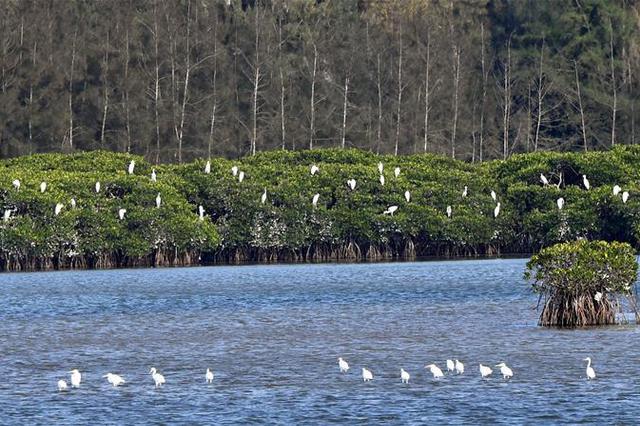 江苏环保督察"严"字当头"紧"字从先