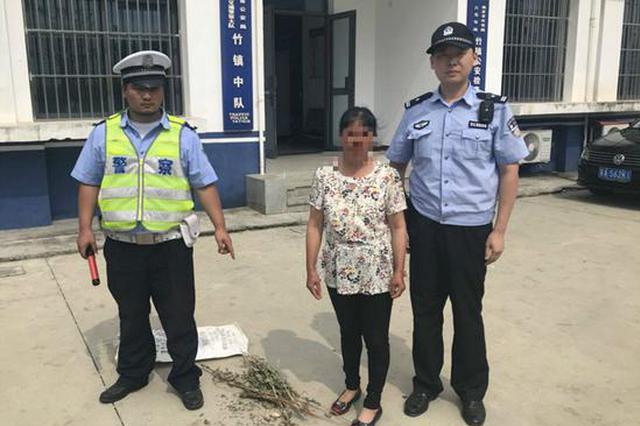 妇女携带罂粟壳刚进南京就被查获 自称用于喂猪