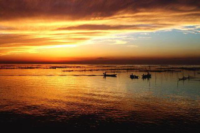 全面禁止采砂运砂 宿迁骆马湖重现水清鱼肥