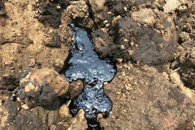 江苏如皋一工厂违法掩埋危险废物 官方：严肃追责