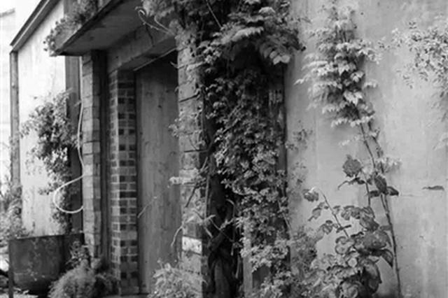 他用废弃物打造2000平米梦幻花园 请大家免费住