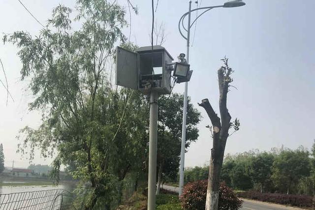 因开车被拍到 男子“暴力破坏”交通监控测速设备