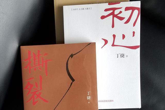 丁捷新作《撕裂》：生动演绎精英群体“抱团”落败的人生