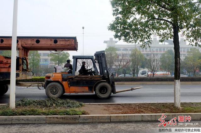 一男子驾驶叉车撞人致1死10余伤 制止未果被击毙