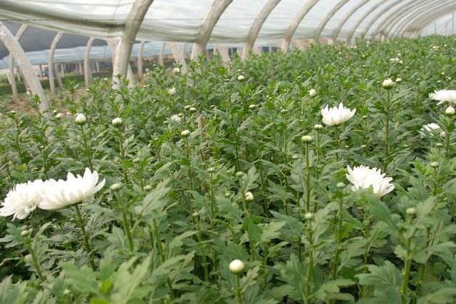 环保督查"回头看" 江苏新沂:全力抓好问题整改