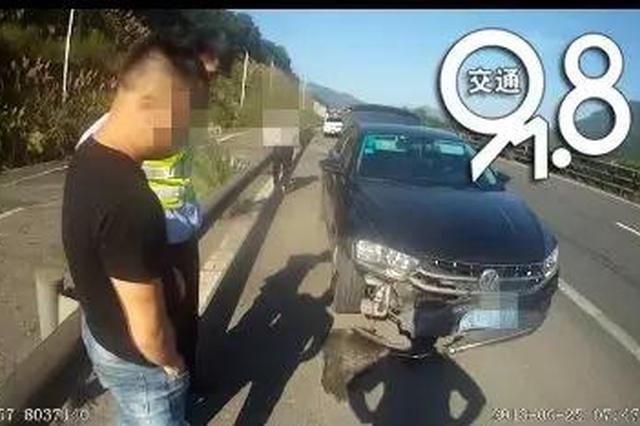 男子高速驾车撞死野猪要求带走作补偿 交警当场拒绝