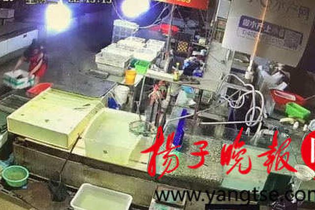 菜场内龙虾等水产品频繁减少 “神秘客人”是谁？
