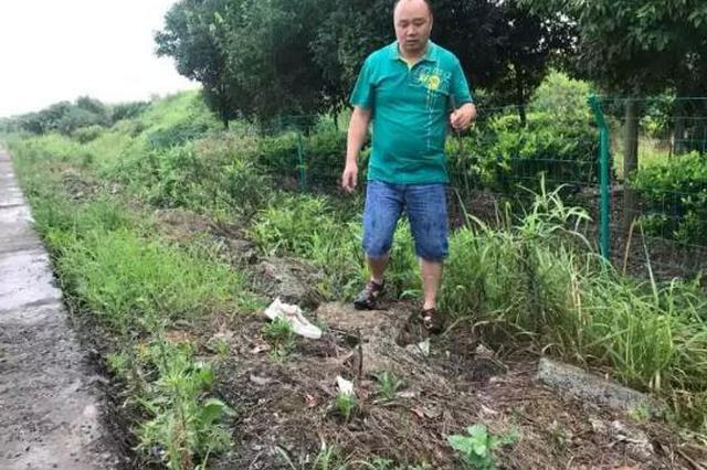 18岁独子车祸身亡 父母苦寻丢失手机：求别删照片