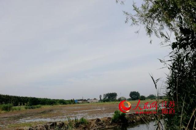 江苏如皋被通报非法掩埋危废续:多人被带走调查