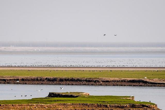 推动河长制湖长制落实落地 省委书记省长任省级双总河长