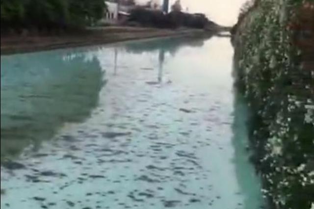 如东回应“牛奶河”事件：拟罚企业120万 纪委已介入