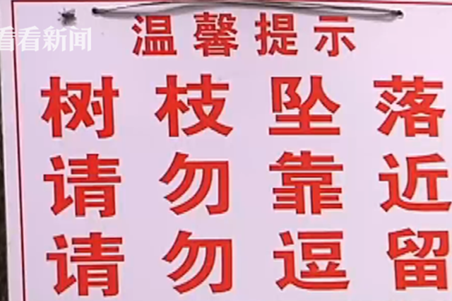 女子小区散步被落叶砸致脑震荡 修复鼻骨需花万元