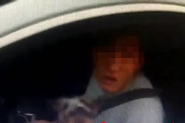 男子实习期内上高速 还抱着爱犬驾车