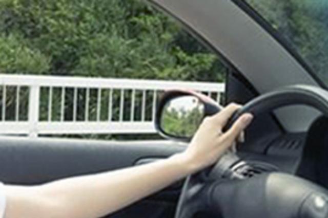 扬州男子实习期抱爱犬上高速 被并处罚款250元记2分