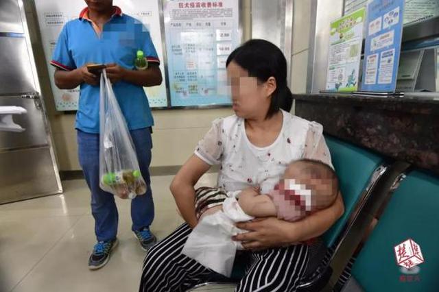 警方通报“恶犬叼走半岁宝宝”：养狗八旬老太被控制