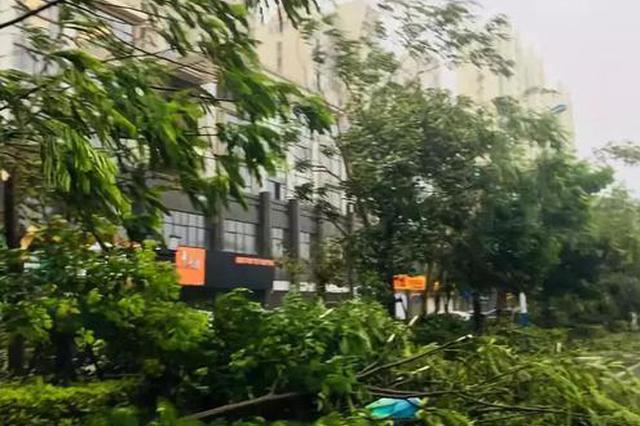 强台风“玛莉亚”登陆！最大风力14级！暴雨倾盆！