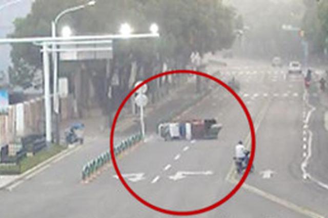 宠物犬横穿马路撞倒三轮车 主人未拴绳赔了1800