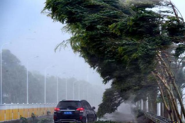 “愤怒”的“玛莉亚”：横扫房屋树木农田