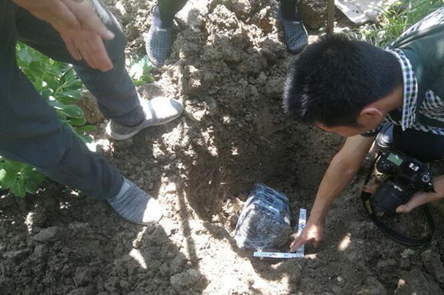 连云港280户农民遭购粮诈骗 嫌疑人打白条买后跑路