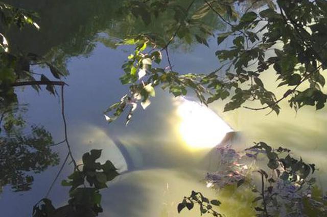 轿车凌空飞进河 路人上演现实版“猴子捞月”捞人