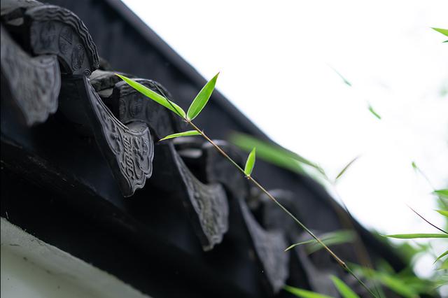 木盆洗澡、老井冰镇、蒲扇驱蚊 老物件帮你消暑纳凉