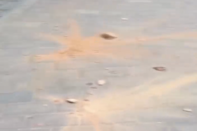 2名熊孩子32楼扔下砖头被抓 家长:别说了不要吓到娃