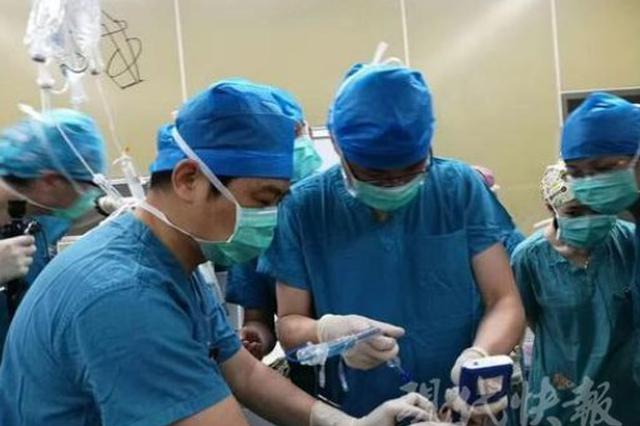 疑有人山间私设电网 5旬女子游玩时不幸被电身亡