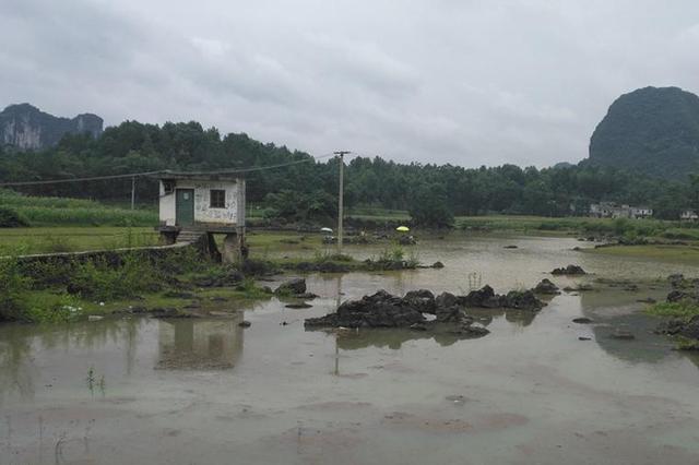 男子爱吃小龙虾却不愿花钱买 多次前往鱼塘偷鱼虾