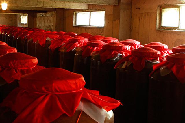 今世缘南京销售暴增62%能否持续 省内正面竞争刚开始