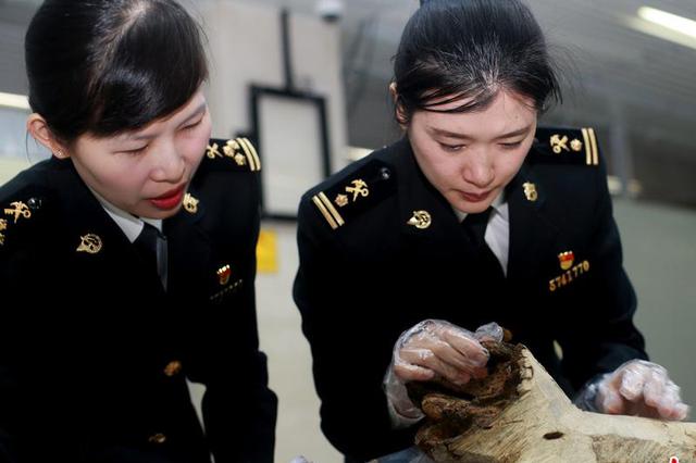 南京海关进出口货物实行整合申报 节省企业通关时间