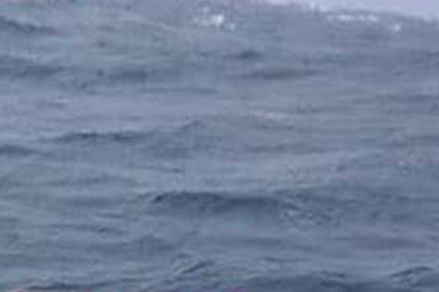 准大学生一家5口长江游泳失踪后 遗体已全被找到