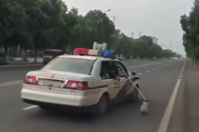 南京警方回应"虐待流浪狗":未带狗笼 警车缓行拽狗