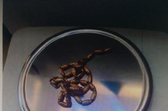 男子痴迷彩票花光积蓄 驾车抢夺金链被逮捕