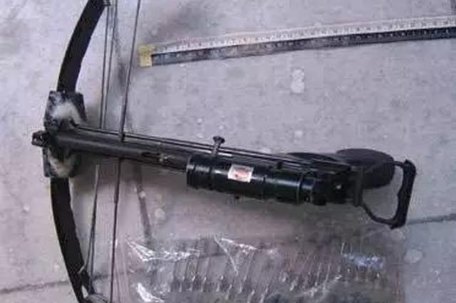 弓弩发毒镖盗狗后出售“毒肉” 句容三男子射杀40条狗