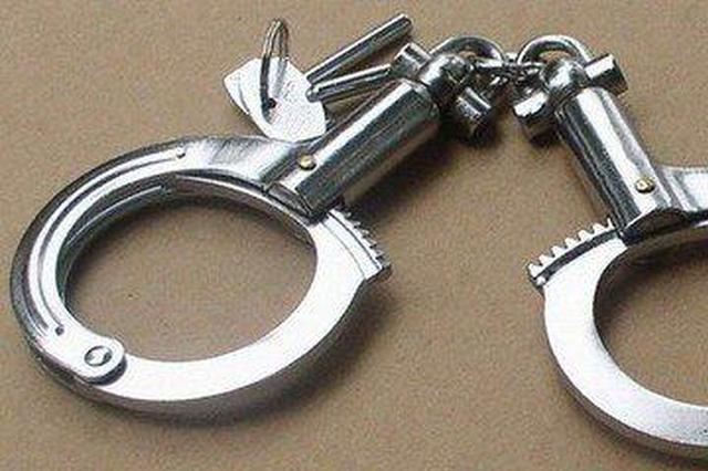 “剁指男”为买婚房盗窃“五进宫” 女友：一直等他