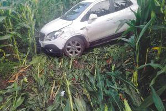女子驾车冲进玉米地昏迷20小时 发定位按喇叭自救