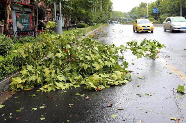 台风“摩羯”登陆后，尚未接到重大险情和伤亡报告