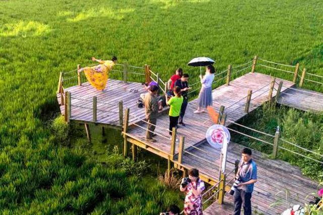 泰州首设标准创新奖 推进标准国际化助企业闯世界