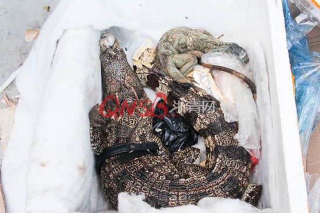 女子网购保健品却收到一只死鳄鱼 还散发腐烂气味